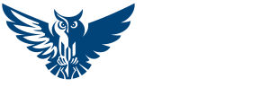 E-Academy